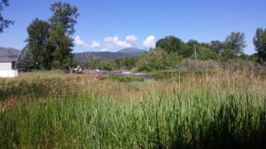 view of Clark Fork River